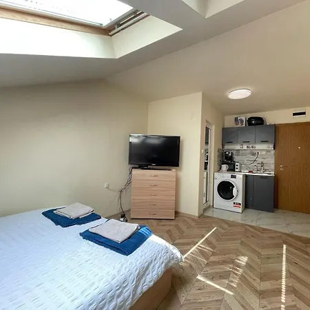 Cozy Apartment
